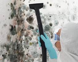 Best Basement Mold Removal  in Franklin Lakes, NJ